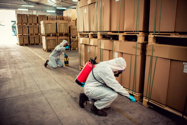 Best Termite Control Services  in Doral, FL