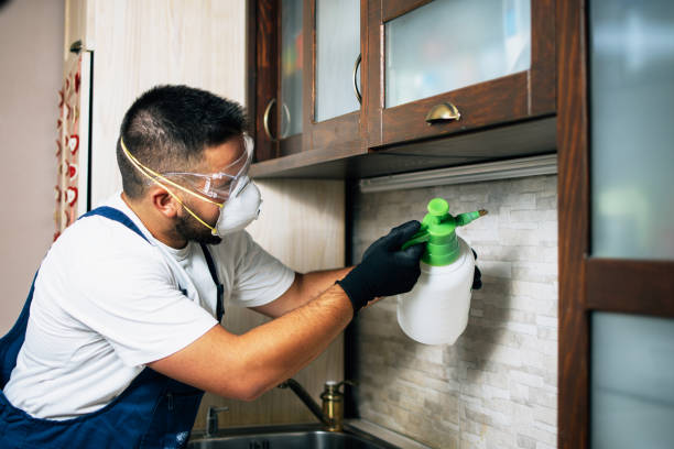 Best Cockroach Control Services  in Doral, FL