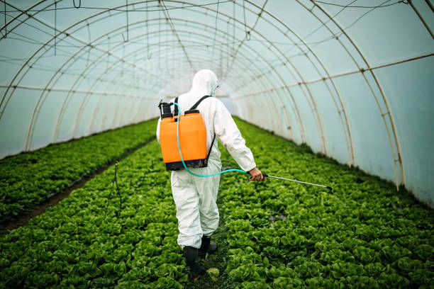 Best Best Pest Control Companies  in Doral, FL