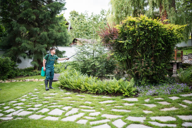 Best Local Pest Control Services  in Doral, FL