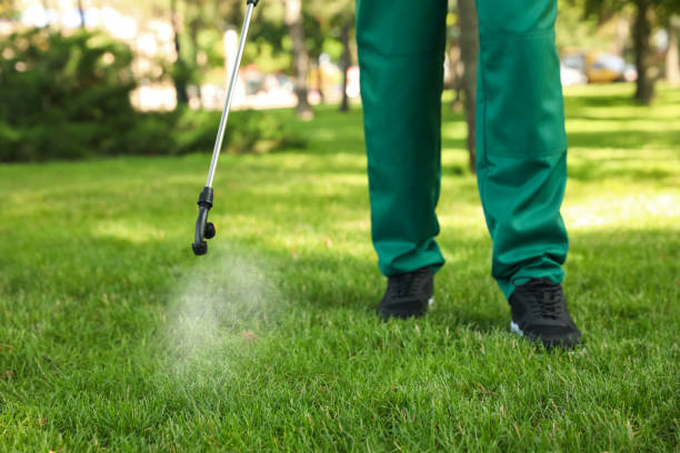 Best Pest Control for Homes  in Doral, FL