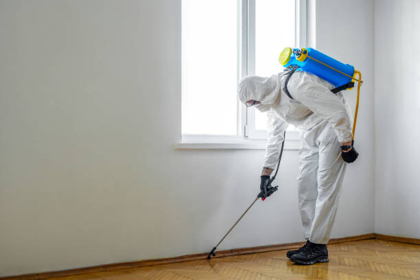 Best Affordable Pest Control Services  in Doral, FL
