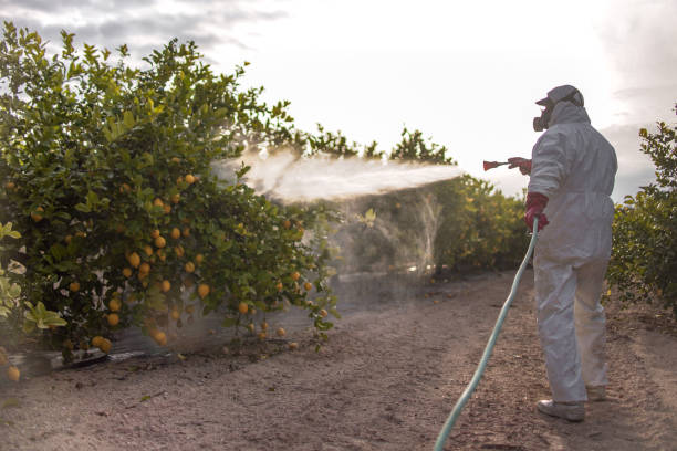 Best Pest Inspection Near Me  in Doral, FL